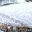 【在庫限り】クリーミー 泡シャンプー 1000ml(36-100_1)の画像