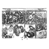 250ピースワッシャセット(19-1036)の画像
