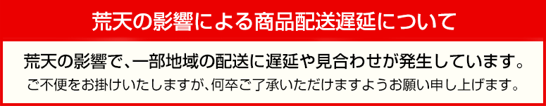 荒天による配送遅延のお知らせ