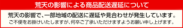 荒天による配送遅延のお知らせ 荒天による配送遅延のお知らせ
