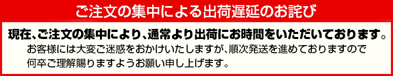 注文集中による出荷遅延のお詫び